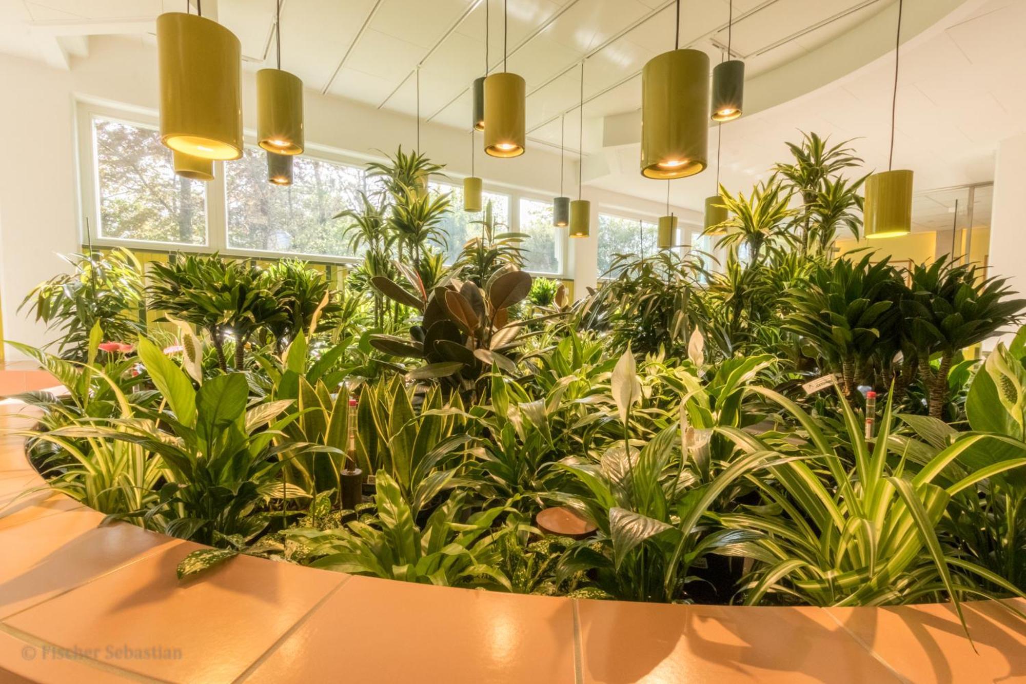 Romantik Hotel Namenlos Ahrenshoop Bagian luar foto